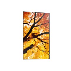 Sharp M982, 98" M-Series LFD, UHD - 98" professionel display
